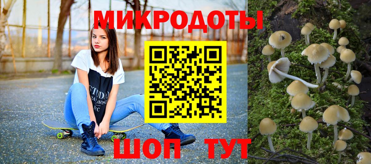 Галлюциногенные грибы Psilocybine cubensis Добрянка
